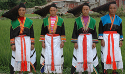 Guizhou Hmong
